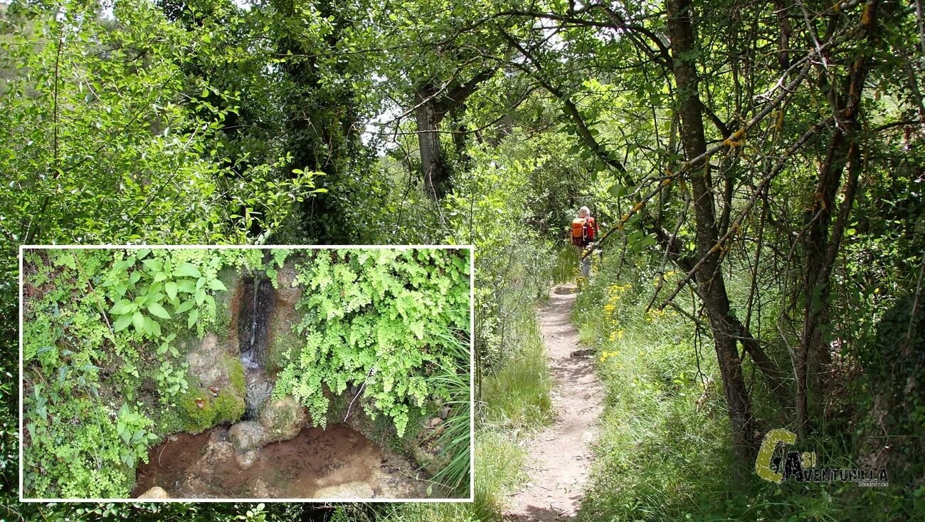 Por la senda del barranco de la Encantada