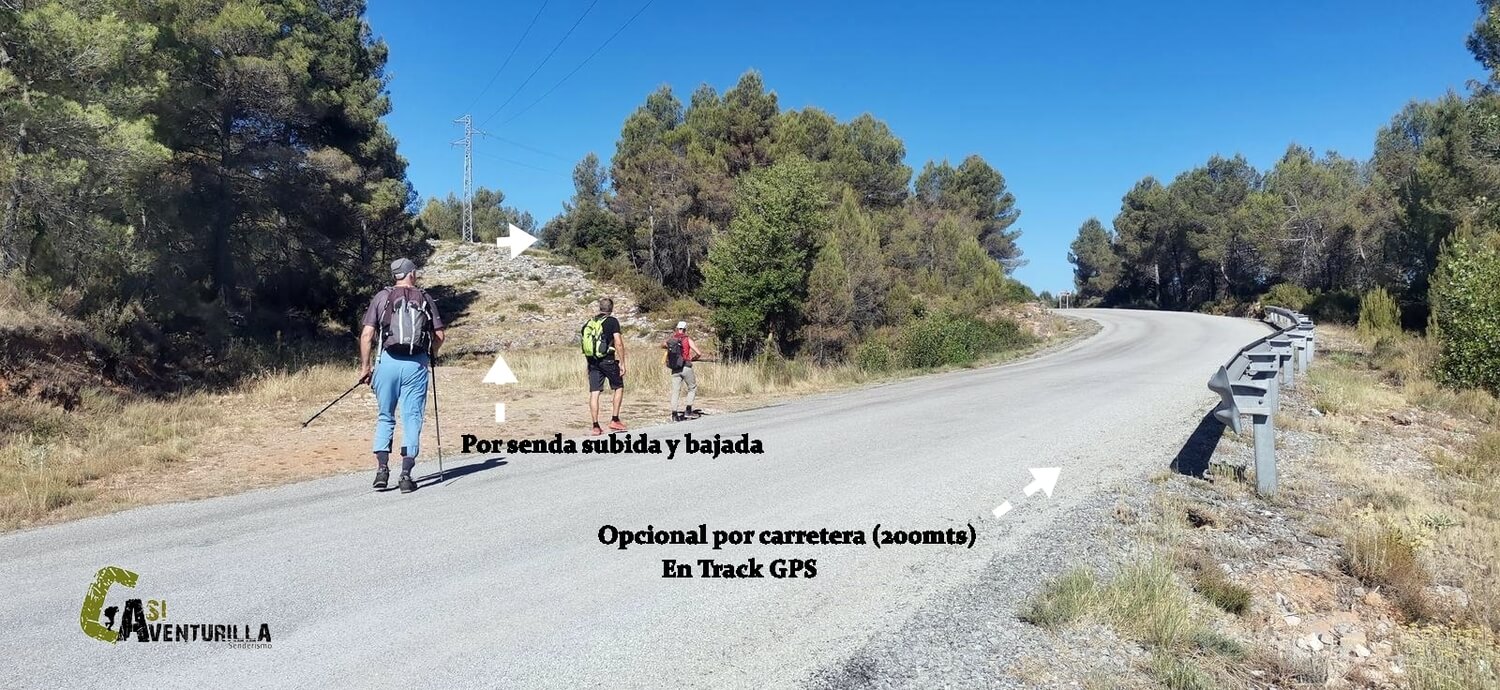 Cruzando la carretera