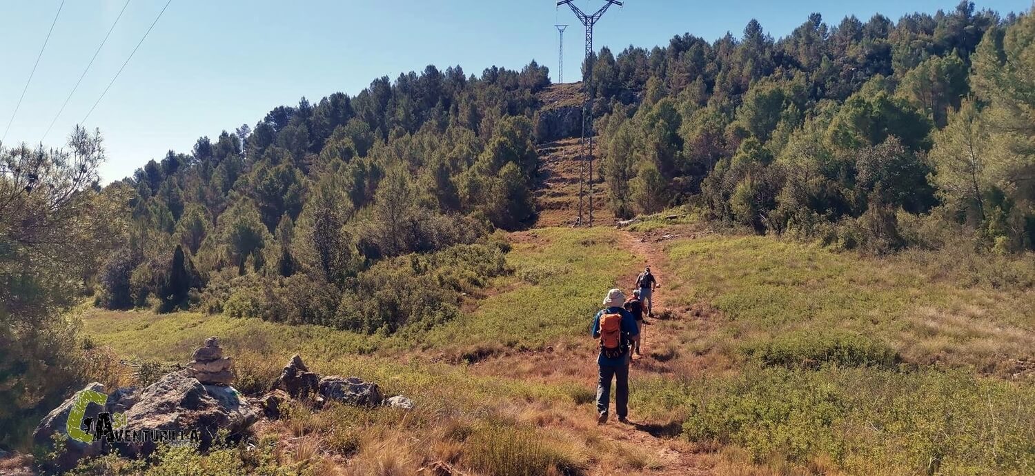 Sendero hacia el cortafuegos