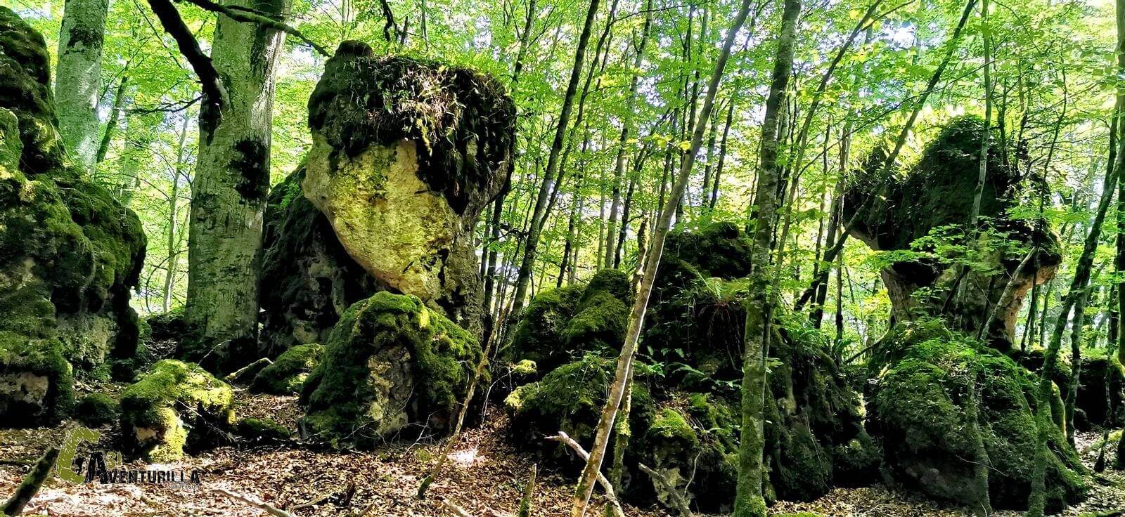 Bosque encantado de Artea