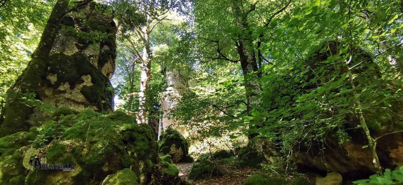 bosque Encantado de Artea