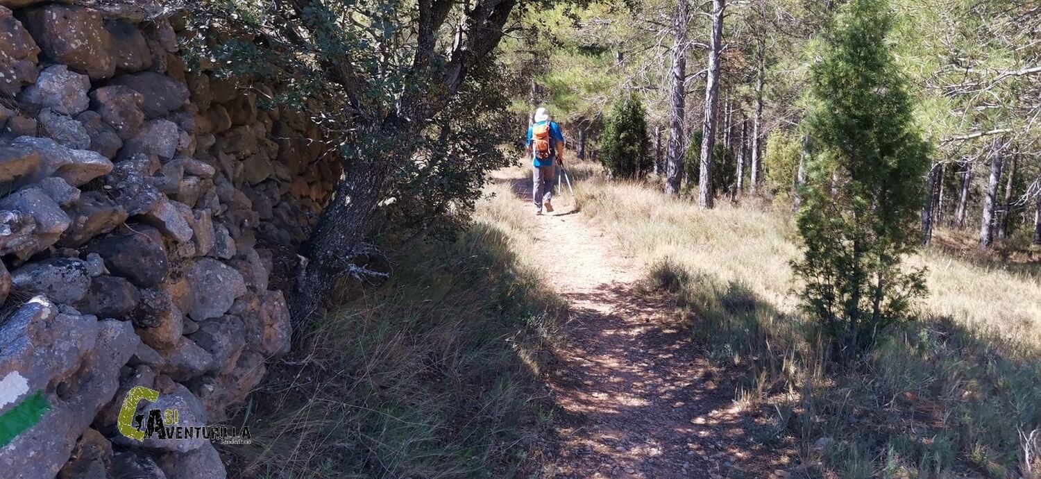 Caminando por sendero