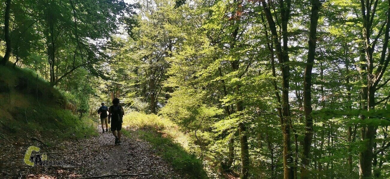 bajando a Zudaire en Urbasa