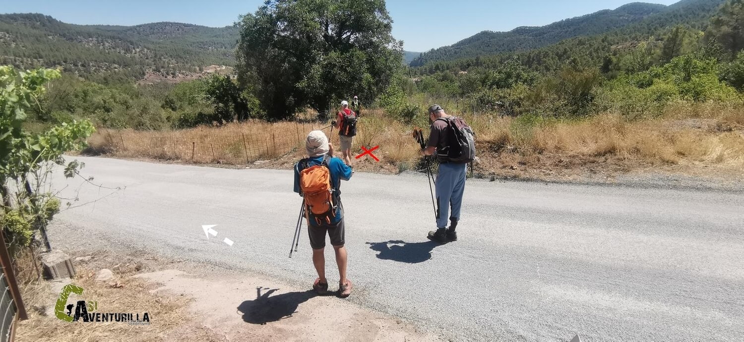 Cruzando la carretera