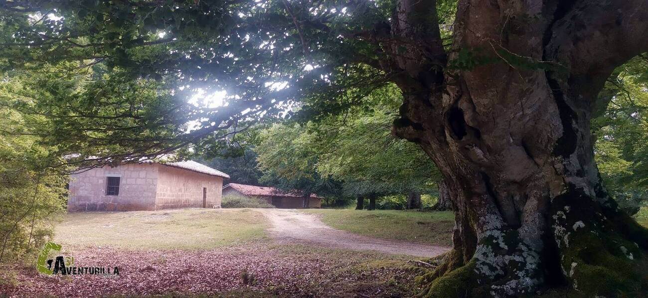 Ermita de San Benito en Urbasa