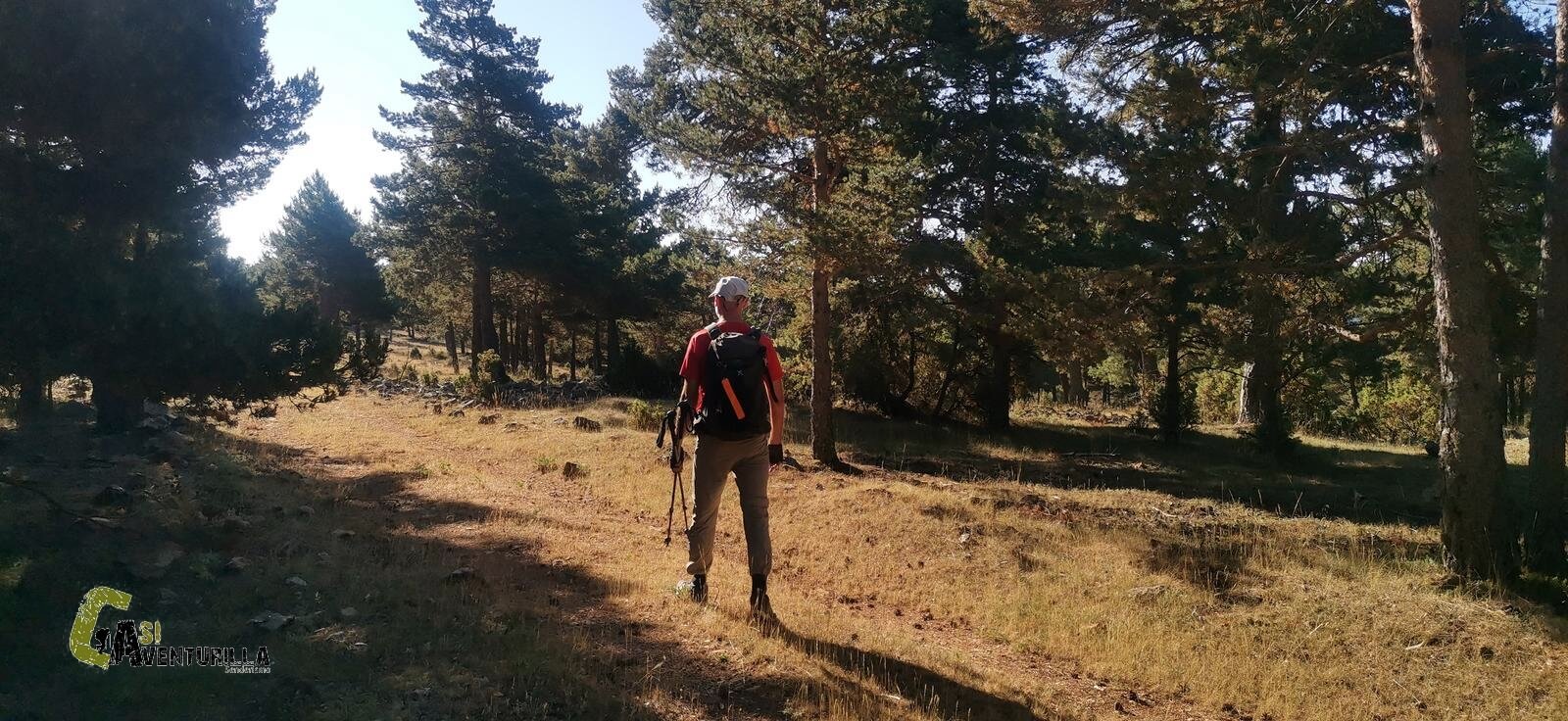 Caminando por pista forestal en la sierra de Gudar