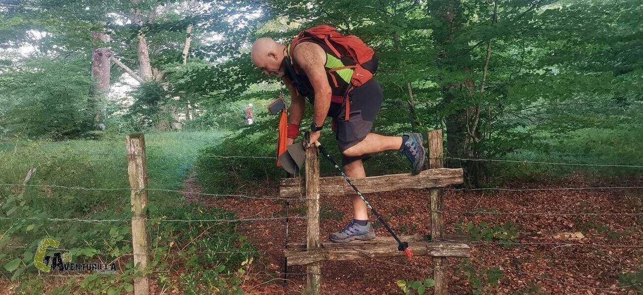 Paso de una valla en el bosque