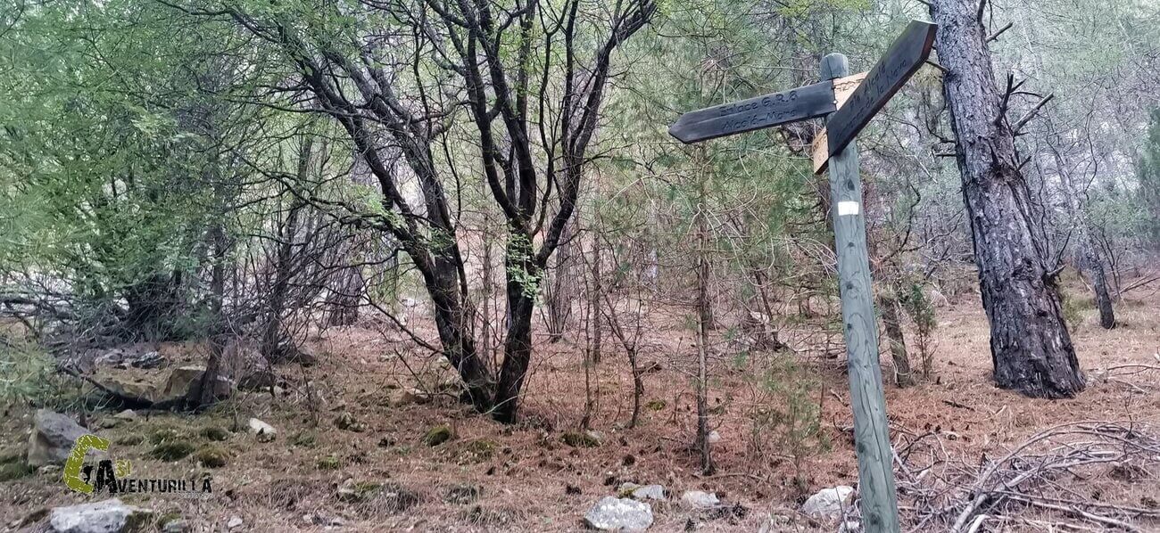 Sendero antiguo del PR-TE 26