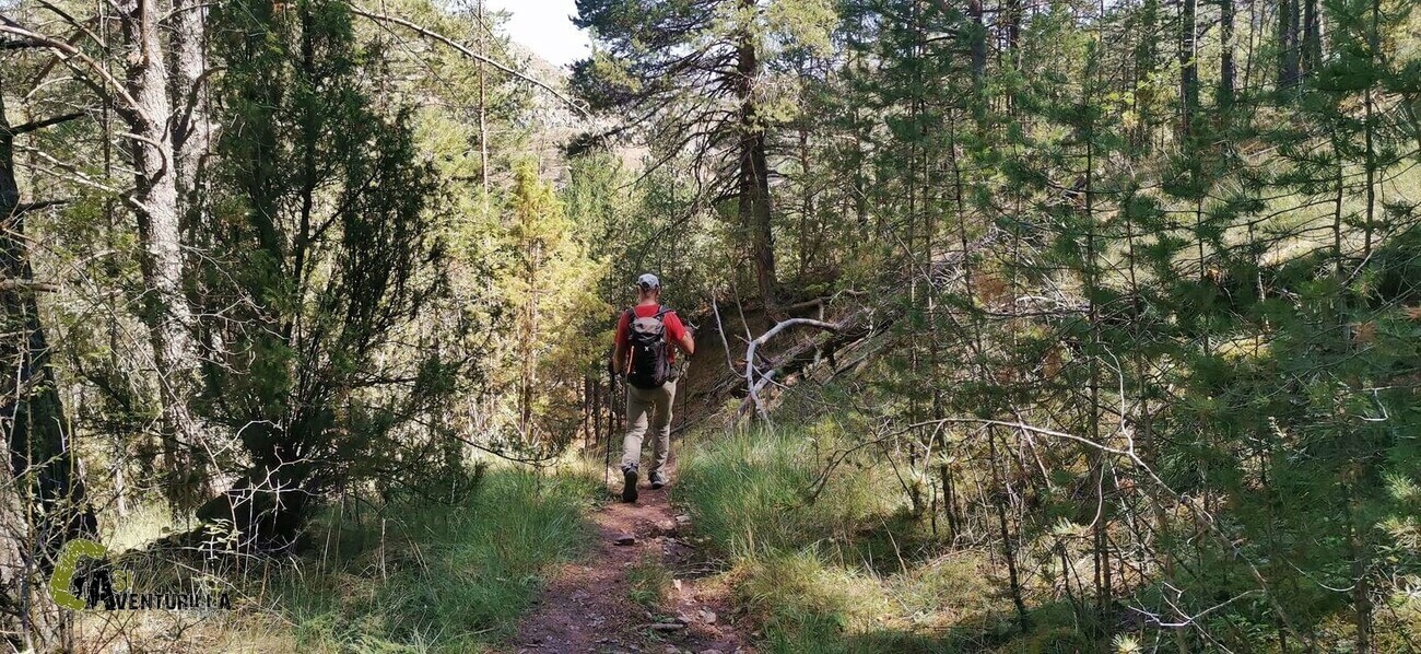 Sendero del GR 8 hacia Alcalá de la Selva
