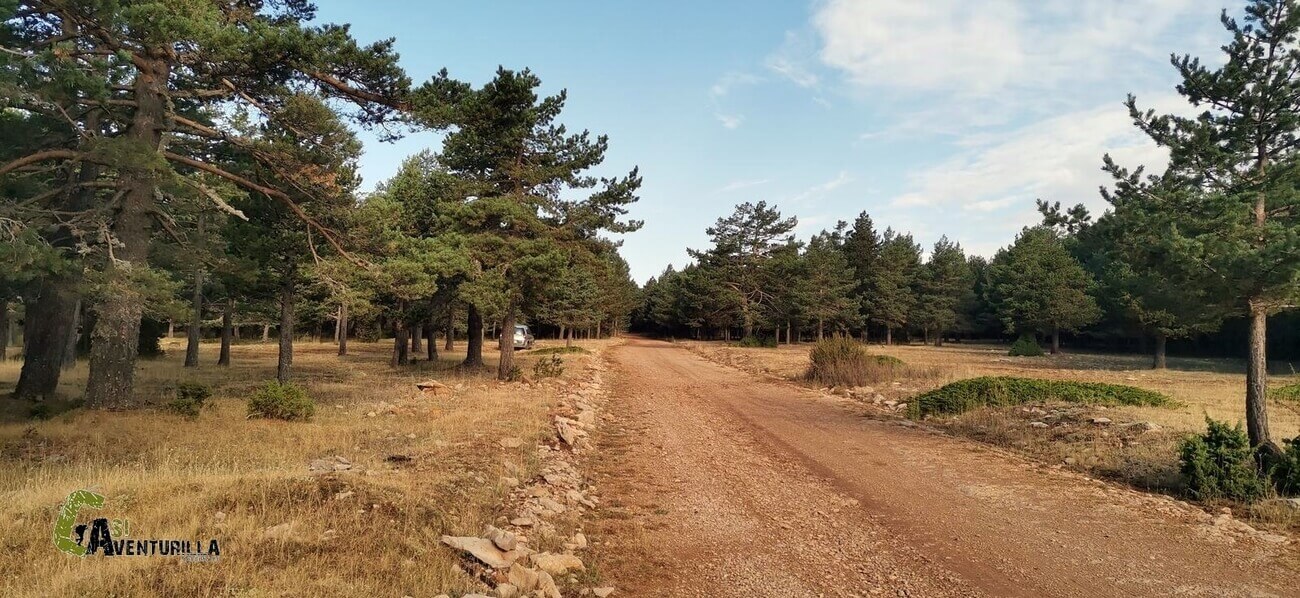 Desde la pista del Monegro
