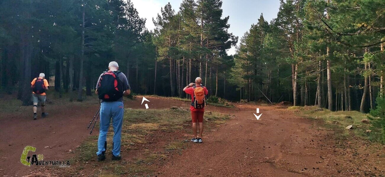 Pistas forestales en la sierra de Gudar