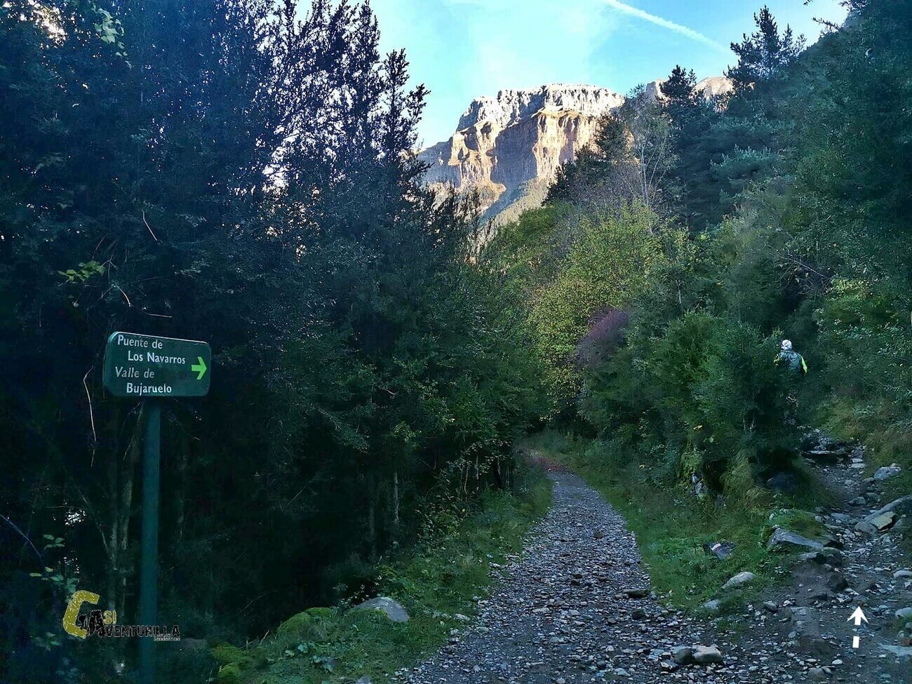 Camino de Turieto Bajo
