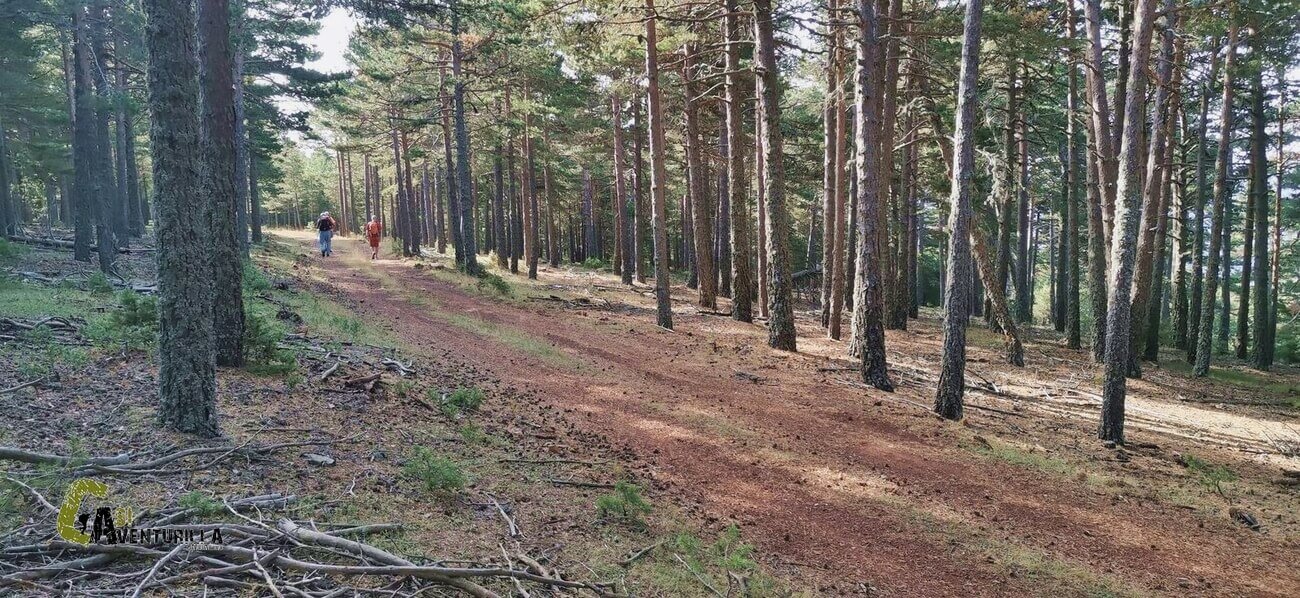 Pista de los Monegros