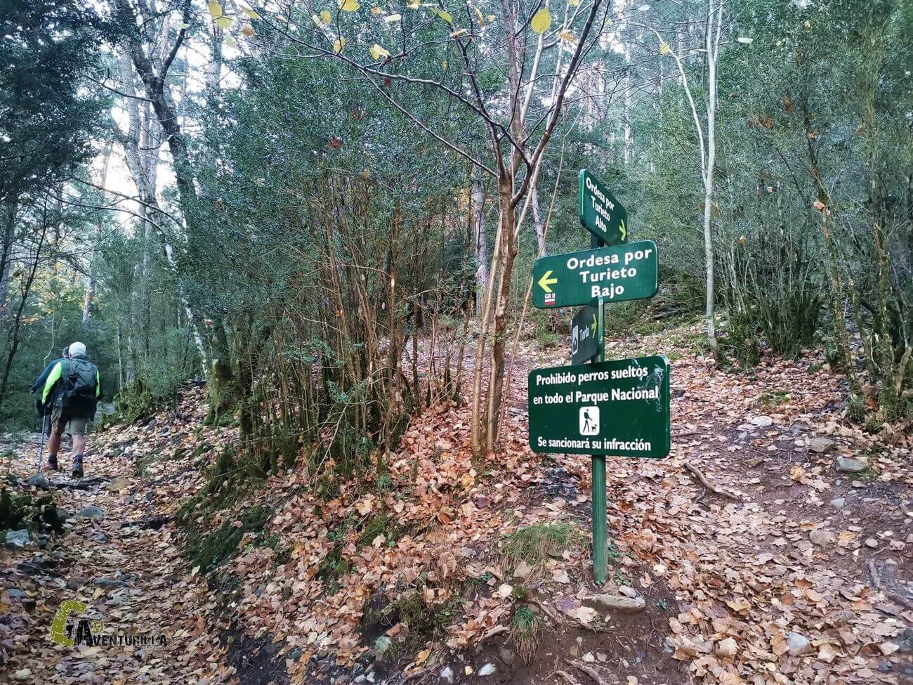 Turieto bajo hacia le Pradera de Ordesa