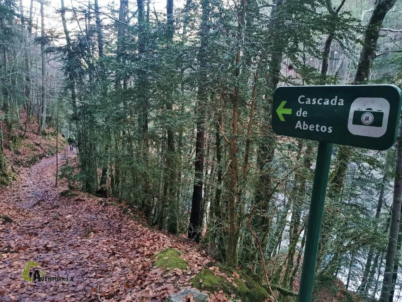 Hacia la cascada de Abetos