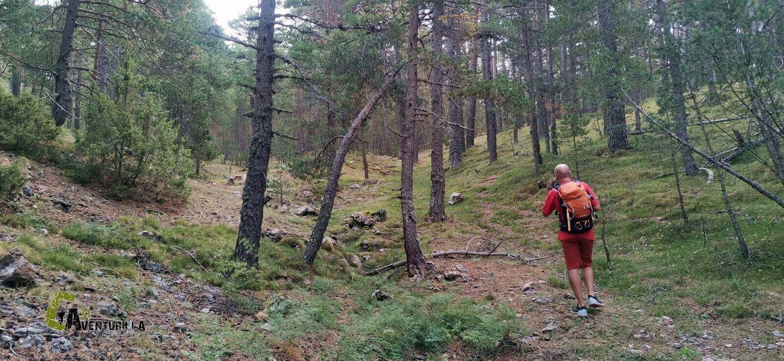 Subiendo por el barranco