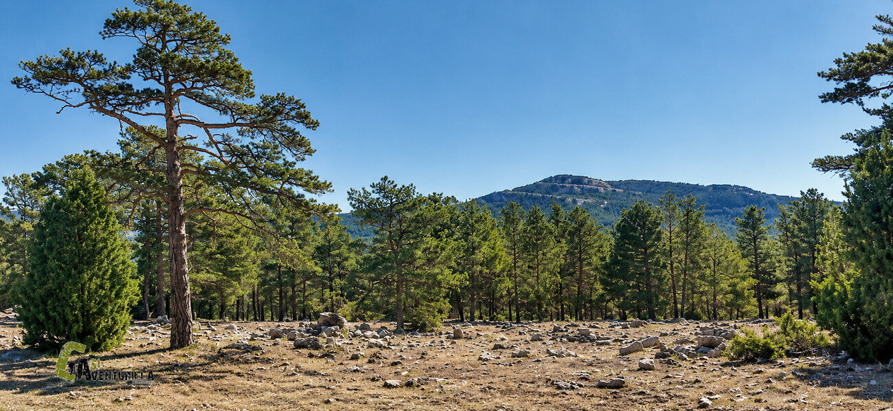 Vistas al pico Bandera desde la pista forestal