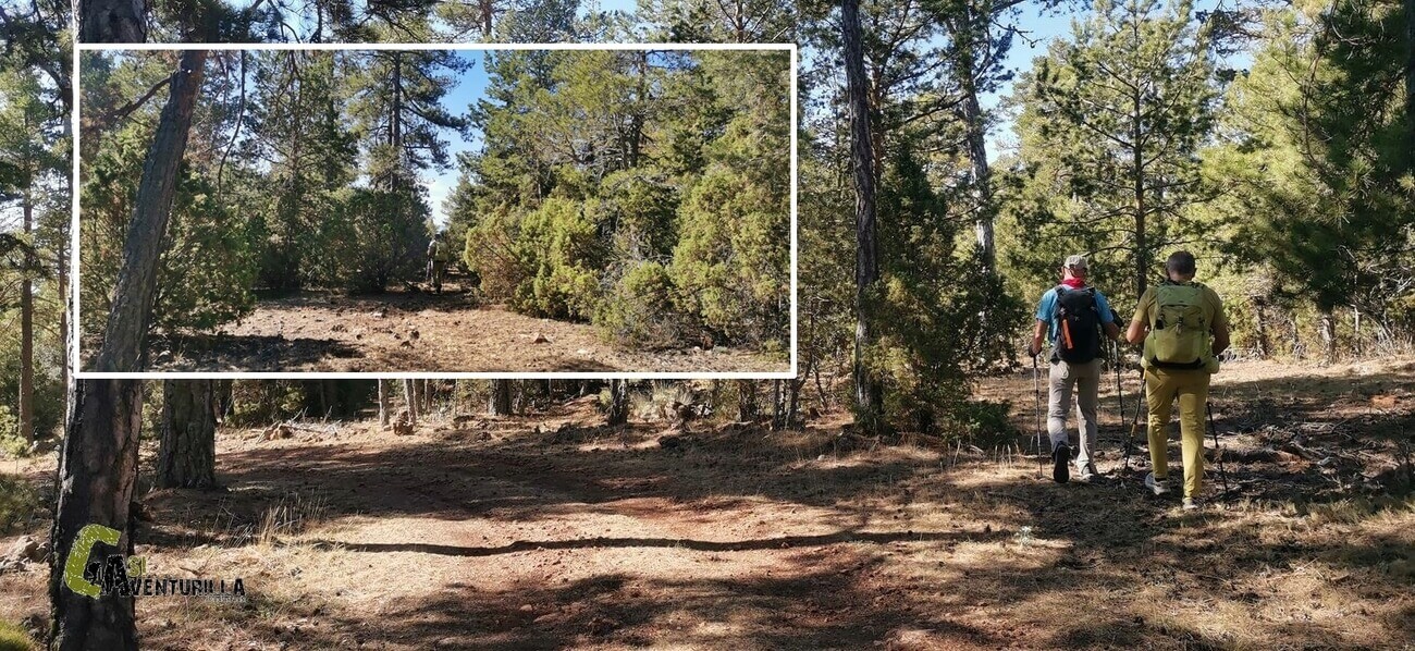 Por la sierra de Gudar en Mora de Rubielos