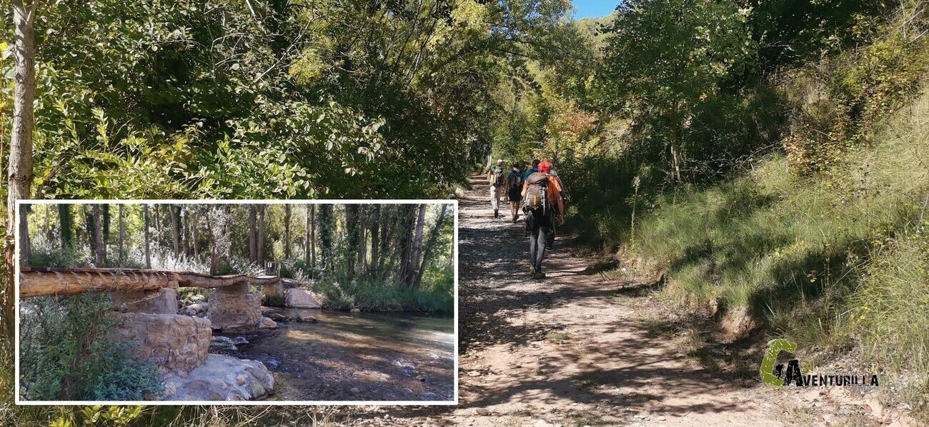 Puente de madera sobre el rio Mijares