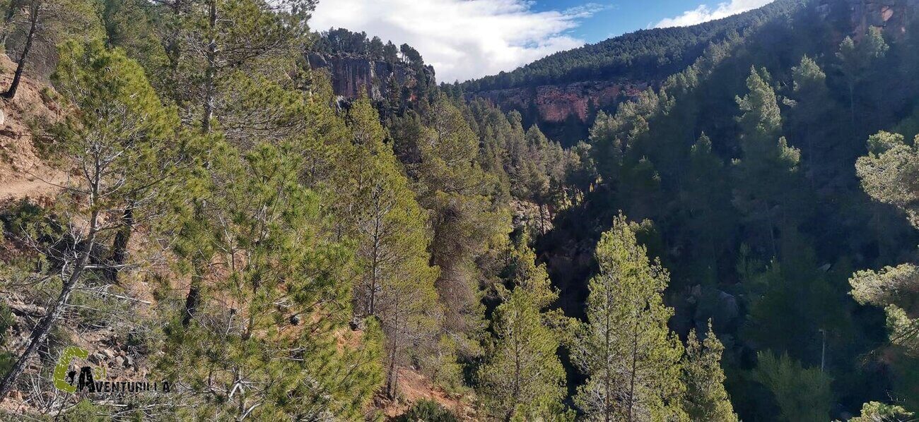 Barranco del rio Palomarejas