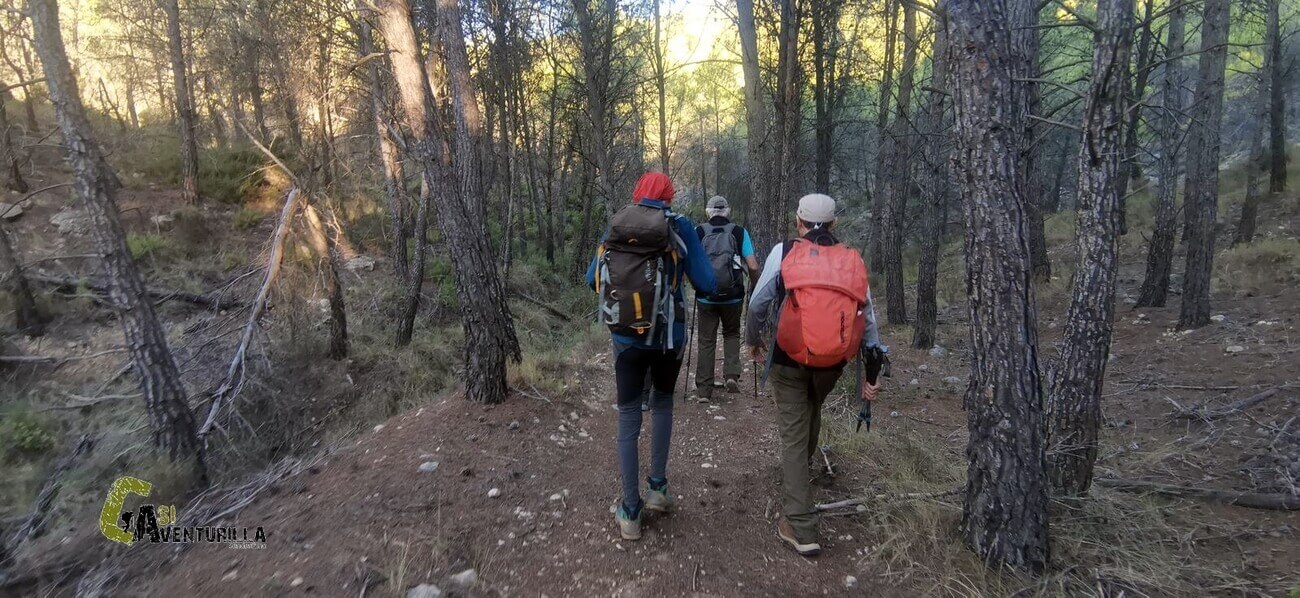 Sendero del Camino del Cid en Olba