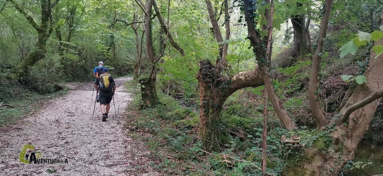 Sendero en Zugarramurdi