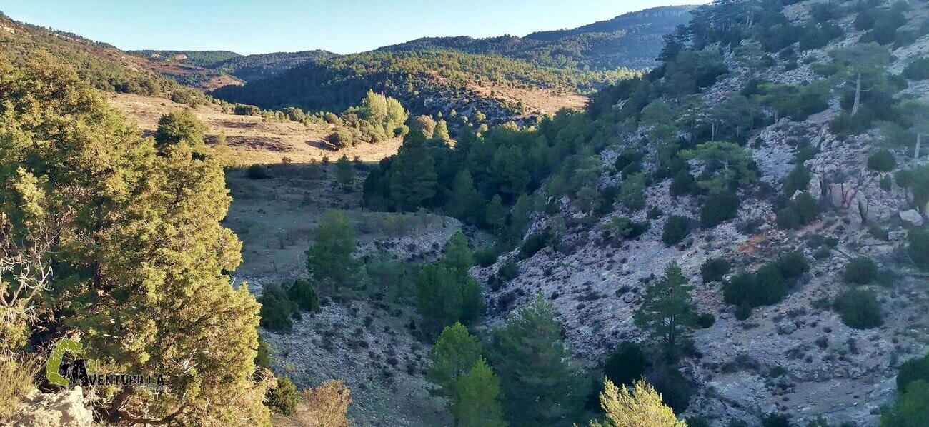 Tramo del Barrando del Villarejo hacia su cabecera
