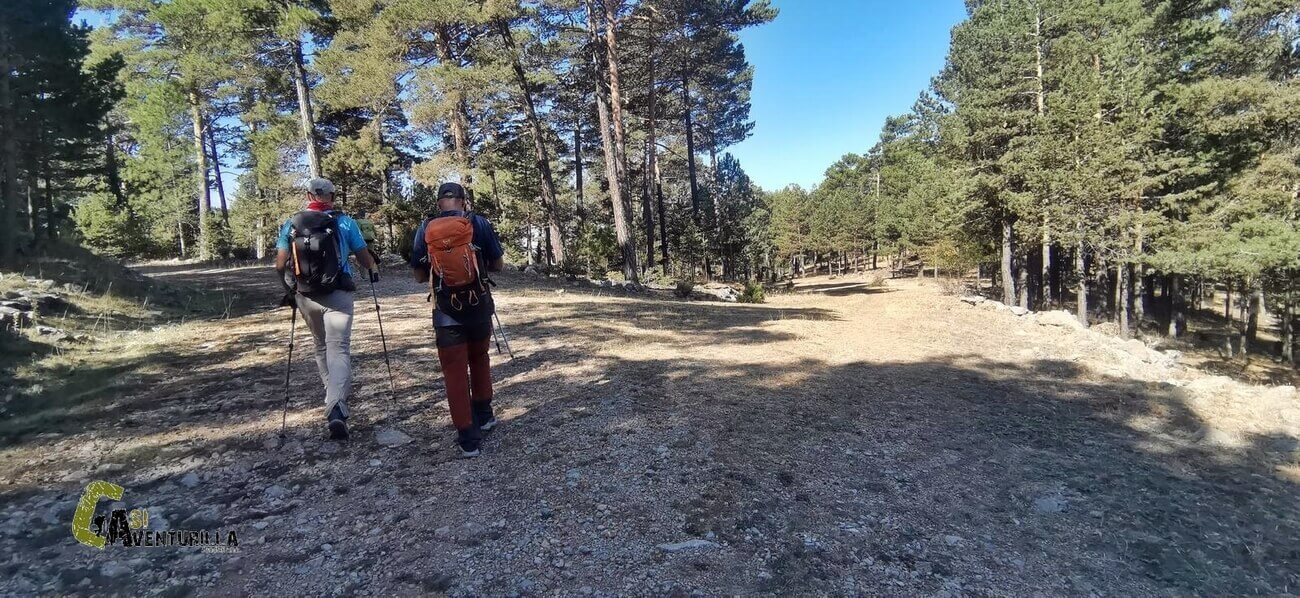 Tomar la izquierda en la pista forestal