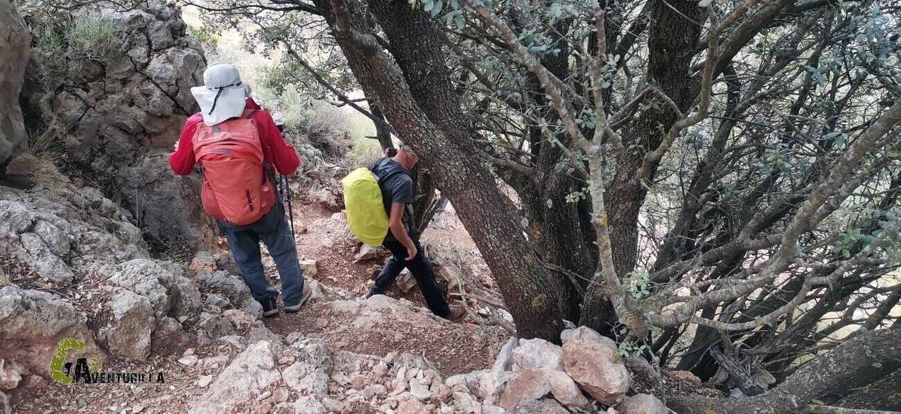 Bajando del Pla de la Casa