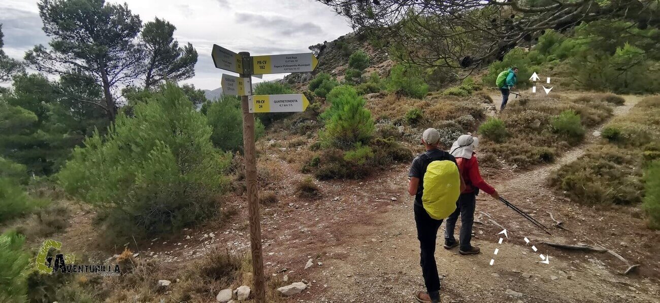 En el Collado Borrell, en la Serrella