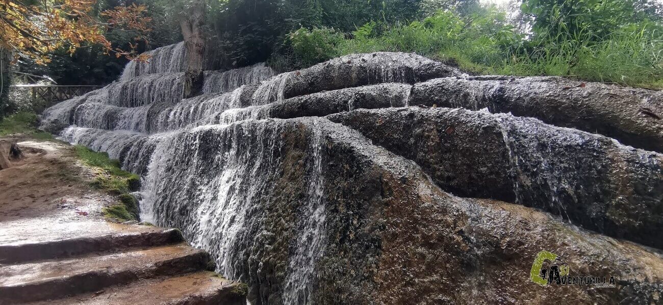 Los Fresnos Altos en el Monasterio de Piedra