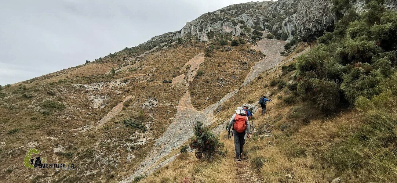 Sendero hacia Fageda