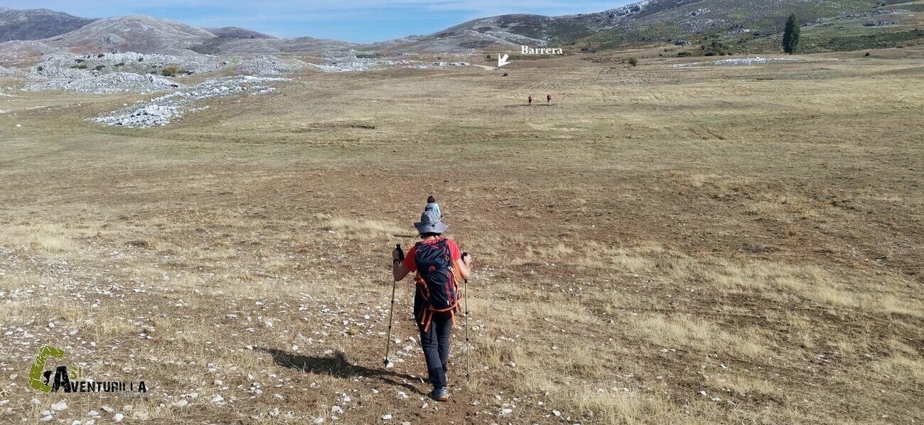 Campos de Hernan Pelea