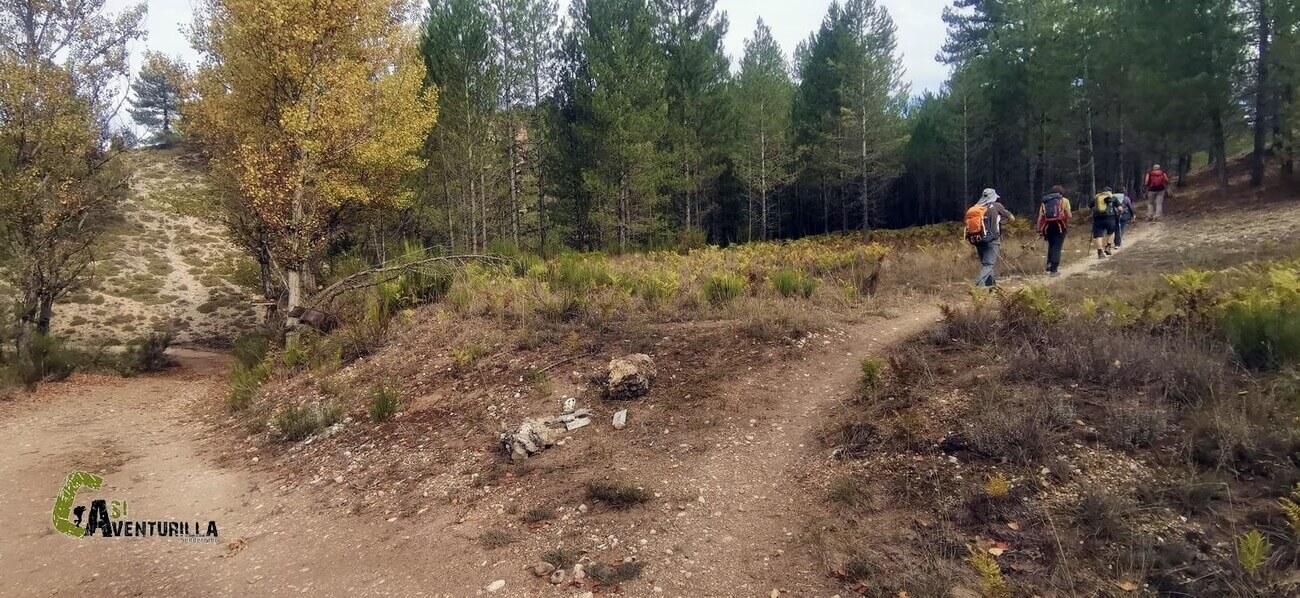 Desvio por sendero