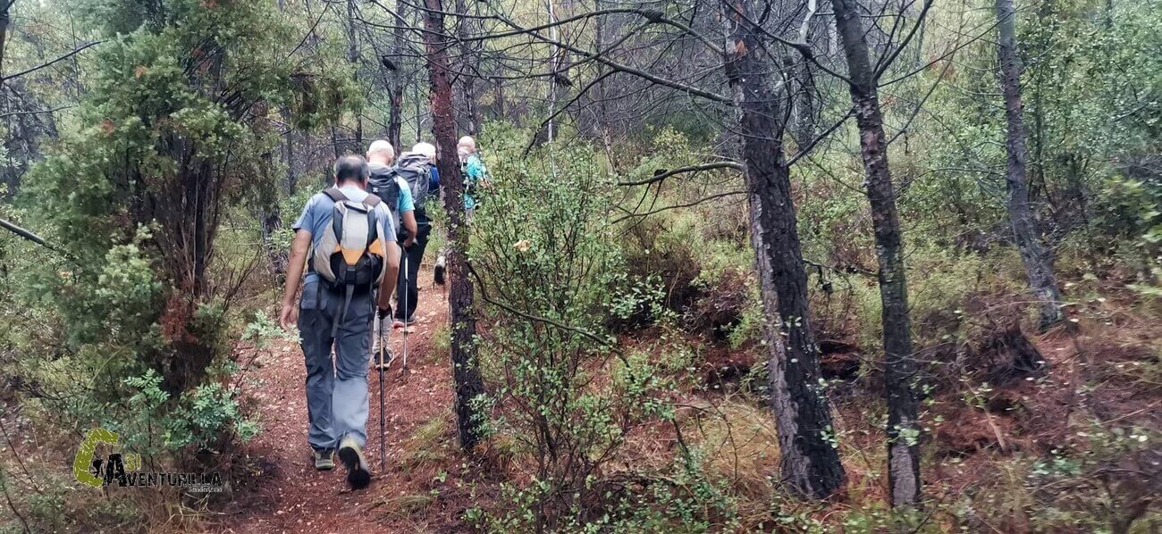 Subiendo por senda en el bosque
