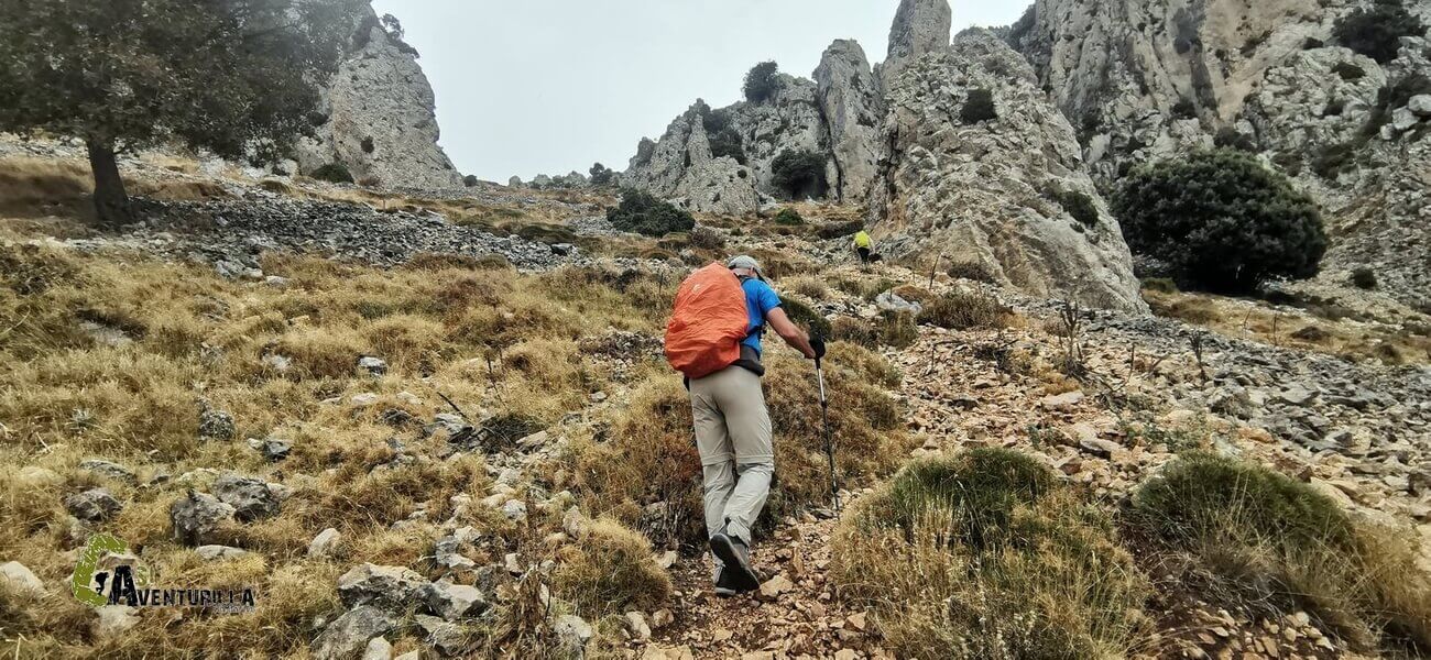 Fuerte subida hacia el Pla da la Casa