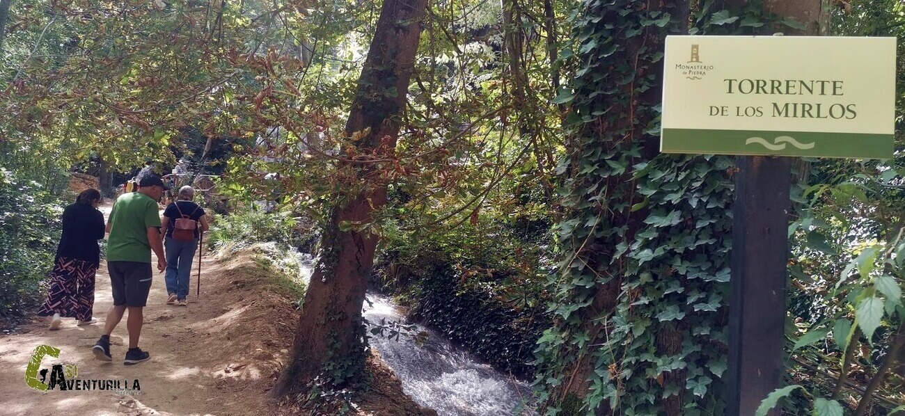 Torrente de los mirlos en el Monasterio de Piedra